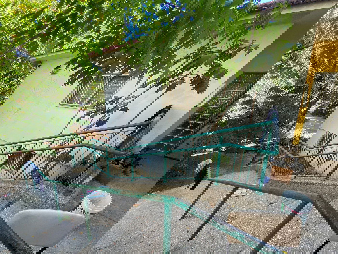 20 שב"חים השתלטו על מבנה נטוש ונעצרו