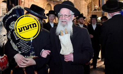 הגאון הרב אברהם דב ליטמנוביץ