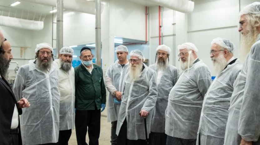 הרבנים והנהלת מערכת הכשרות יצאו לסיור בין מתקני המפעל ונכחו לראות מקרוב את ההידורים הרבים