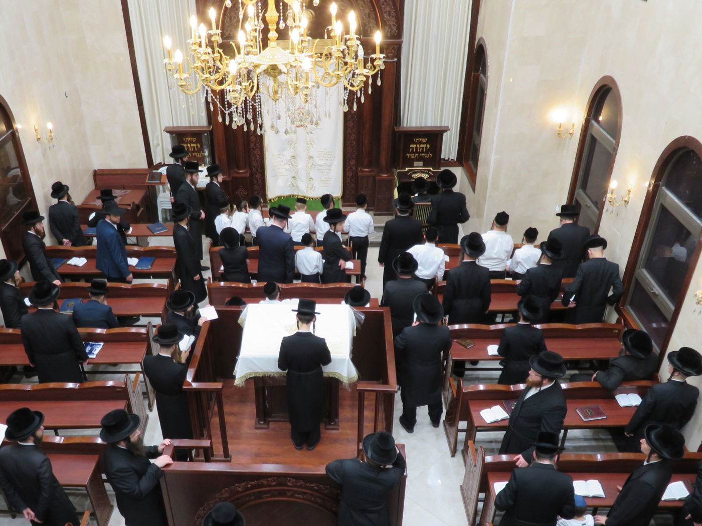 הרבי מסערט ויז'ניץ קיבל את חסידיו באלעד