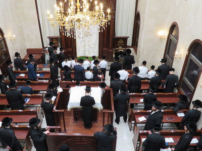 הרבי מסערט ויז'ניץ קיבל את חסידיו באלעד