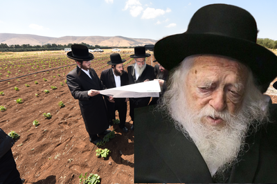 אילוסטרציה