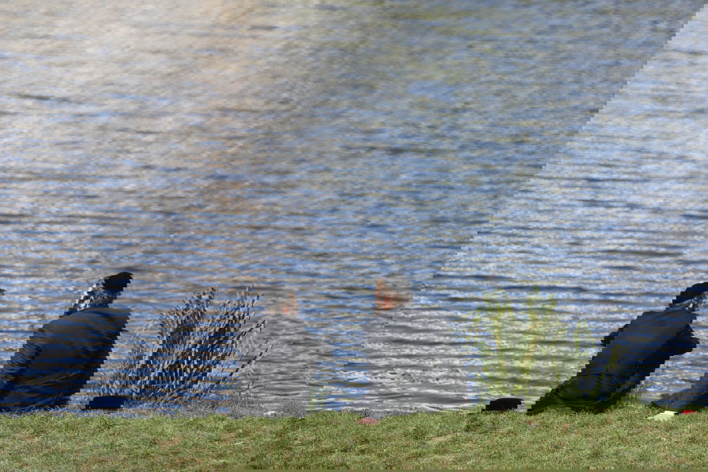 משדה התעופה אל השוק באומן • גלריה של ערב שבת