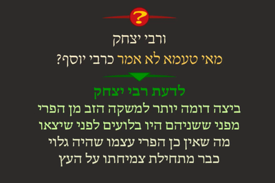 ביצה ג' • סיכום והמחשה של הדף היומי