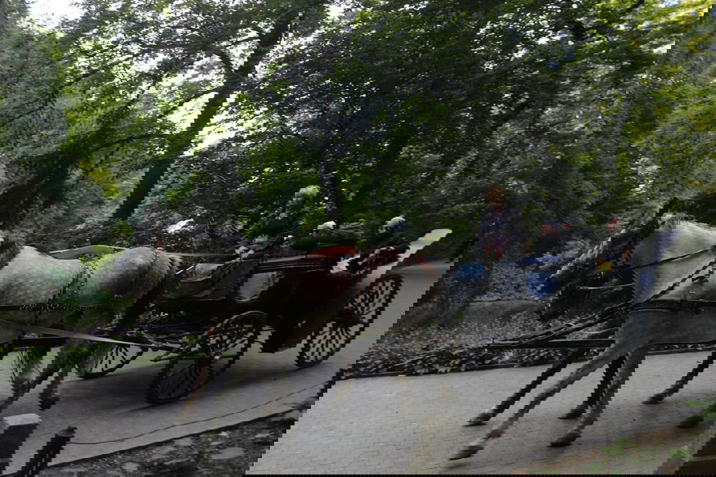 בערב שבת: טיול בגן סופיה באומן • תיעוד