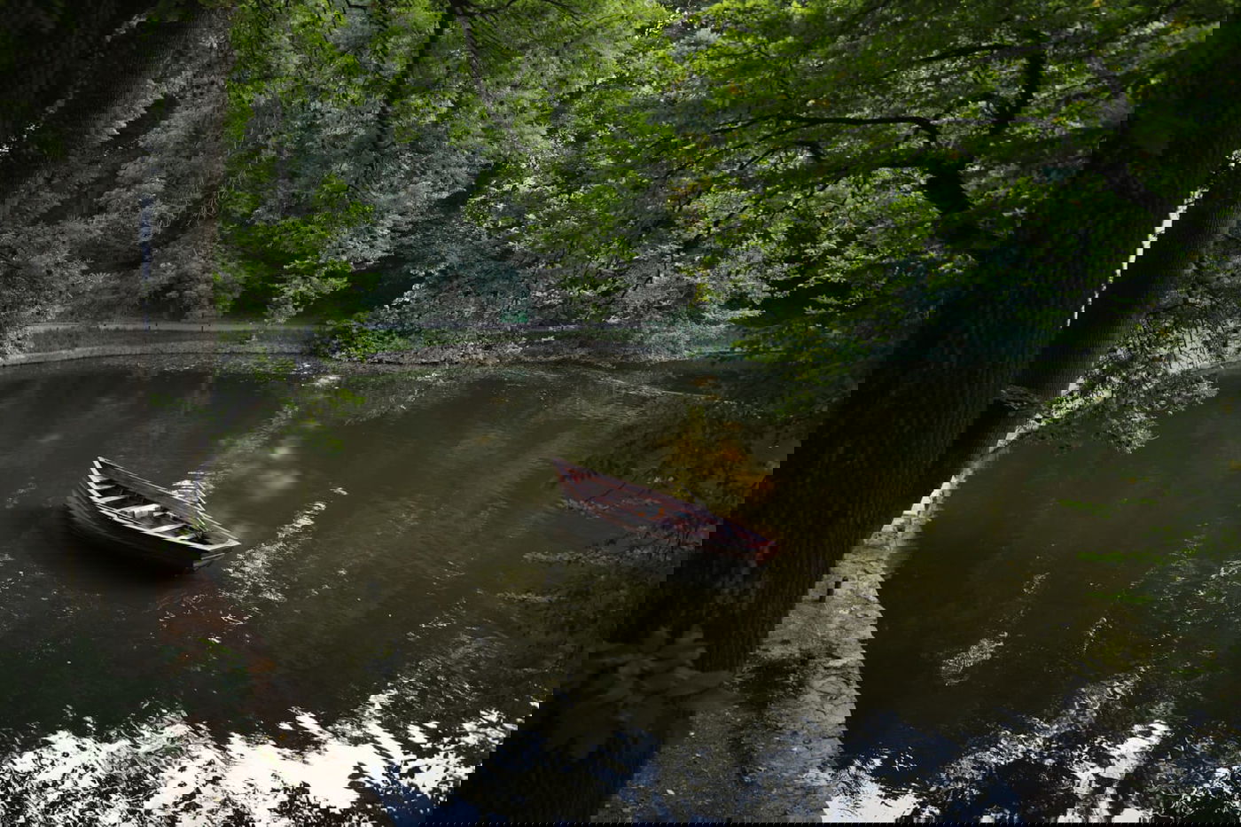 בערב שבת: טיול בגן סופיה באומן • תיעוד