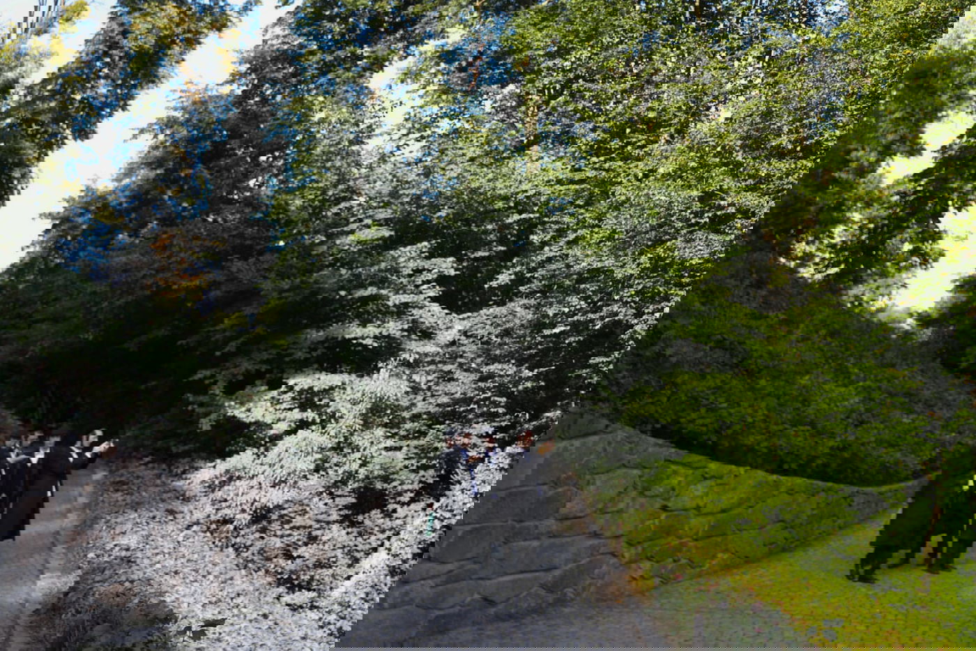 בערב שבת: טיול בגן סופיה באומן • תיעוד