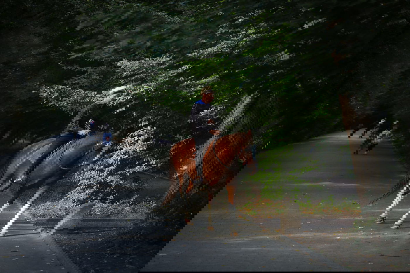 בערב שבת: טיול בגן סופיה באומן • תיעוד