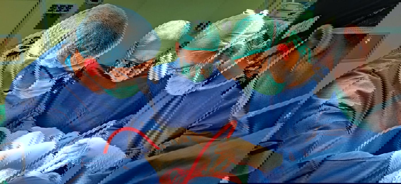 לראשונה בארץ: תאומות סיאמיות הופרדו