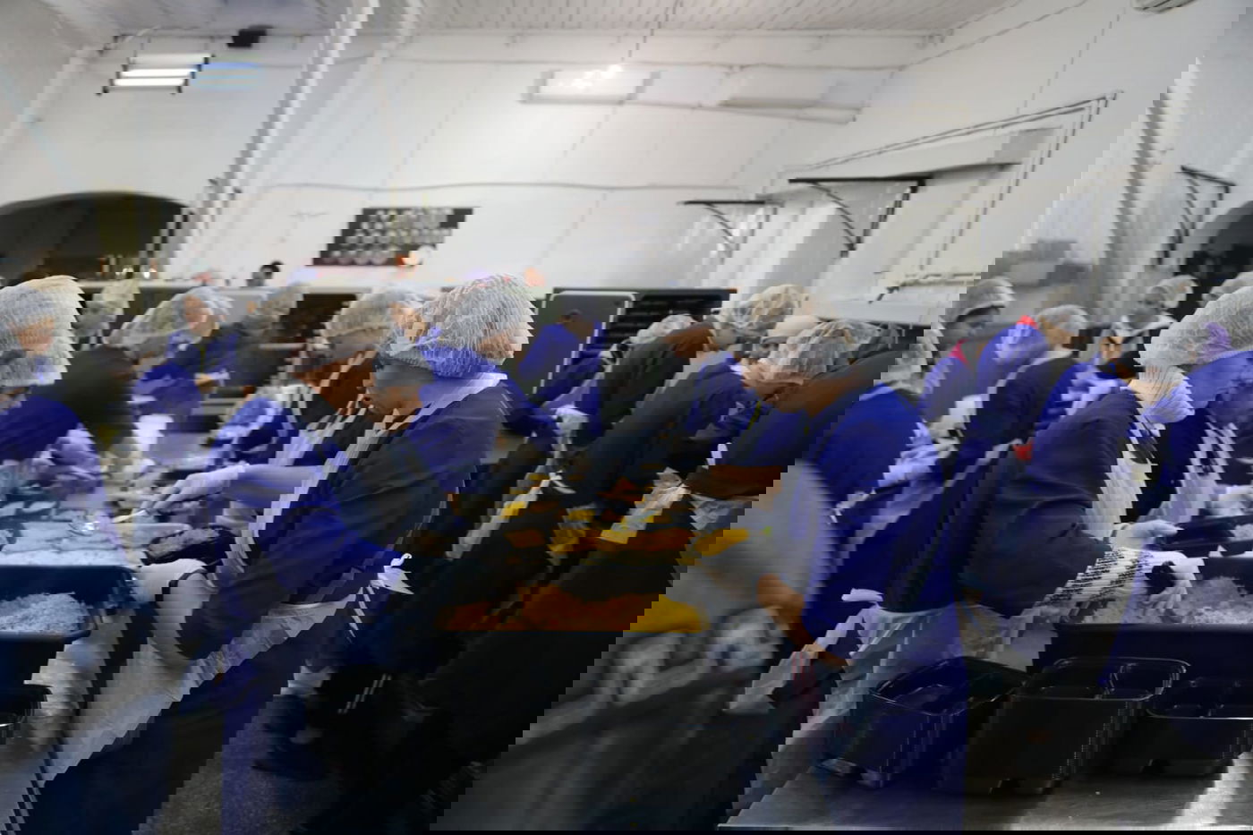 מטורף: המטבח באומן שמכין מאות אלפי מנות