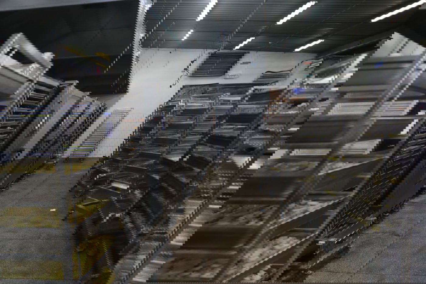 מטורף: המטבח באומן שמכין מאות אלפי מנות