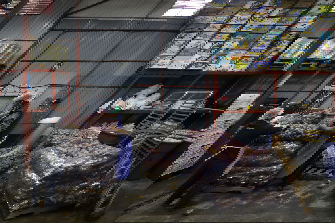 מטורף: המטבח באומן שמכין מאות אלפי מנות