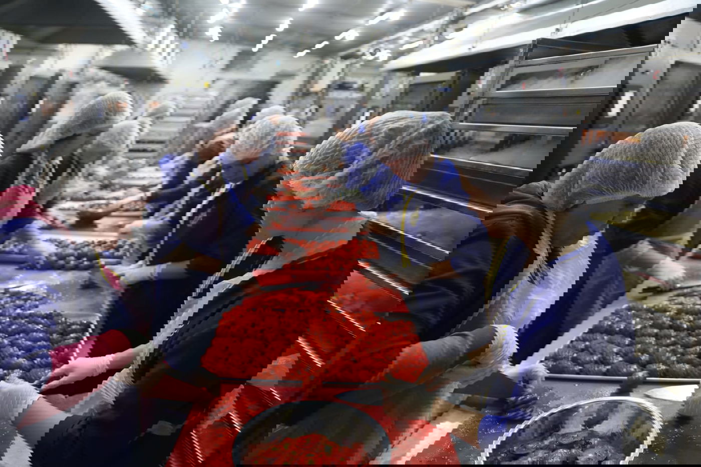 מטורף: המטבח באומן שמכין מאות אלפי מנות