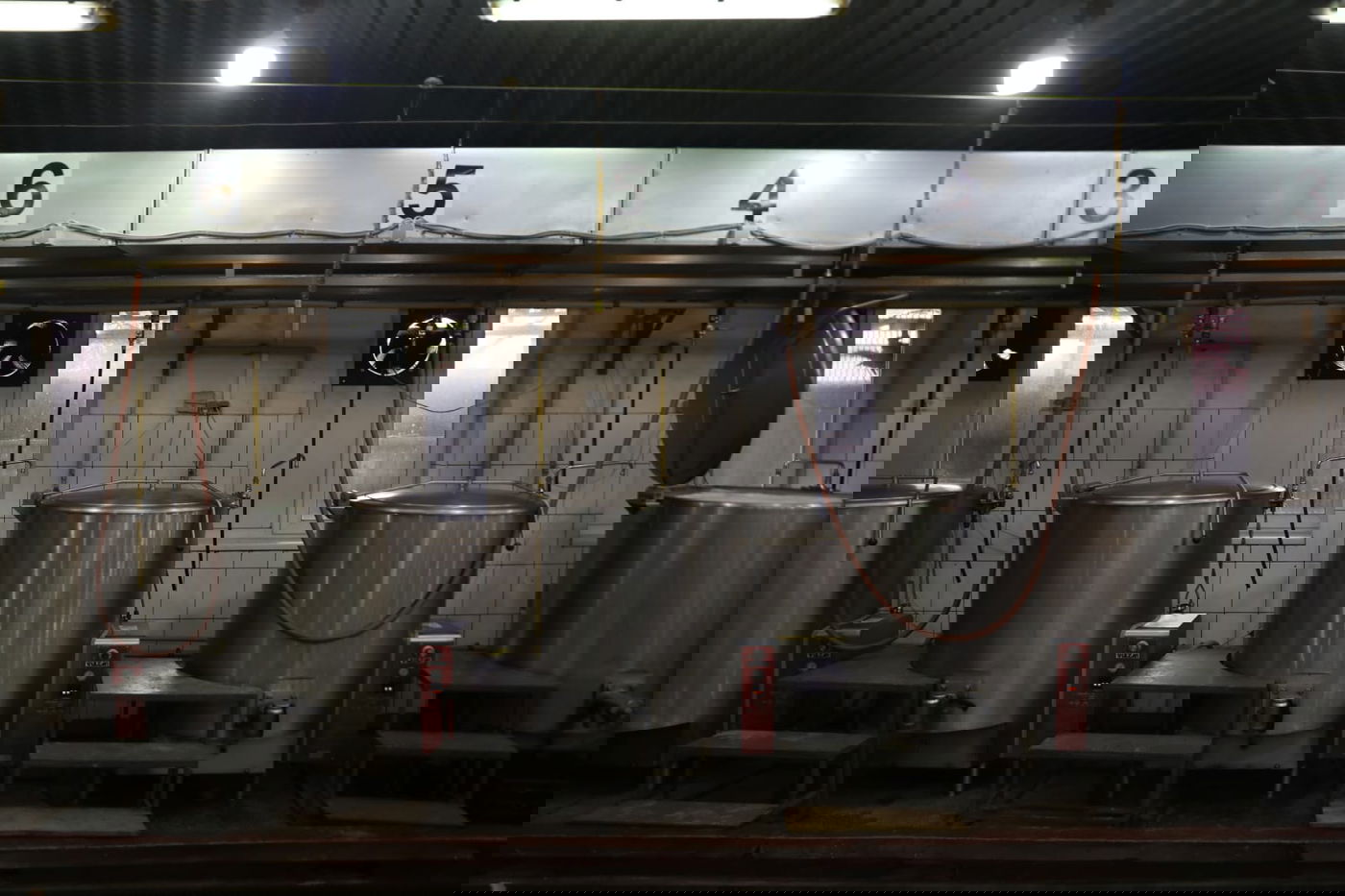 מטורף: המטבח באומן שמכין מאות אלפי מנות