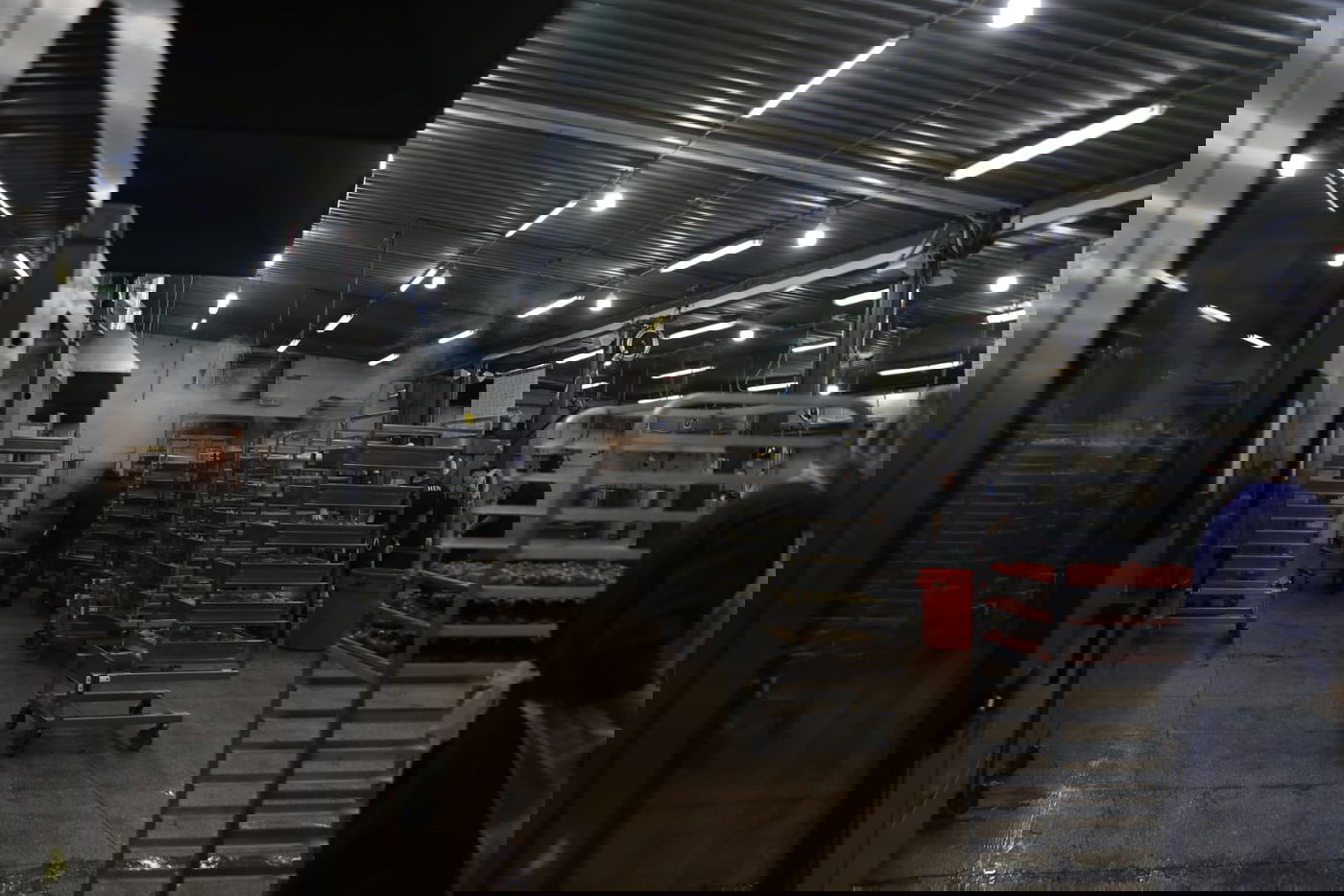 מטורף: המטבח באומן שמכין מאות אלפי מנות