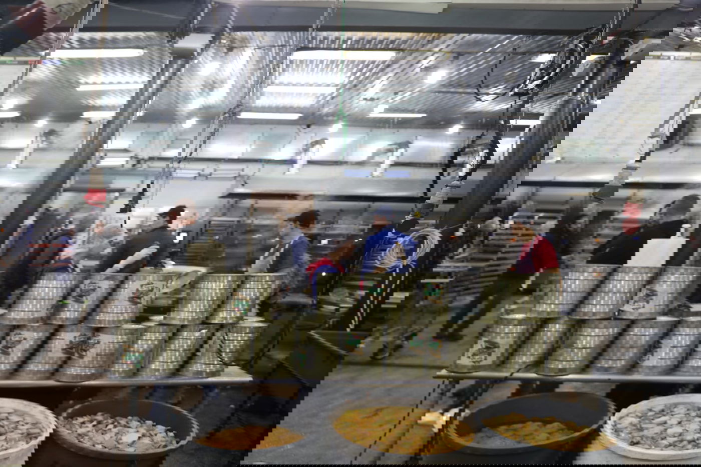 מטורף: המטבח באומן שמכין מאות אלפי מנות