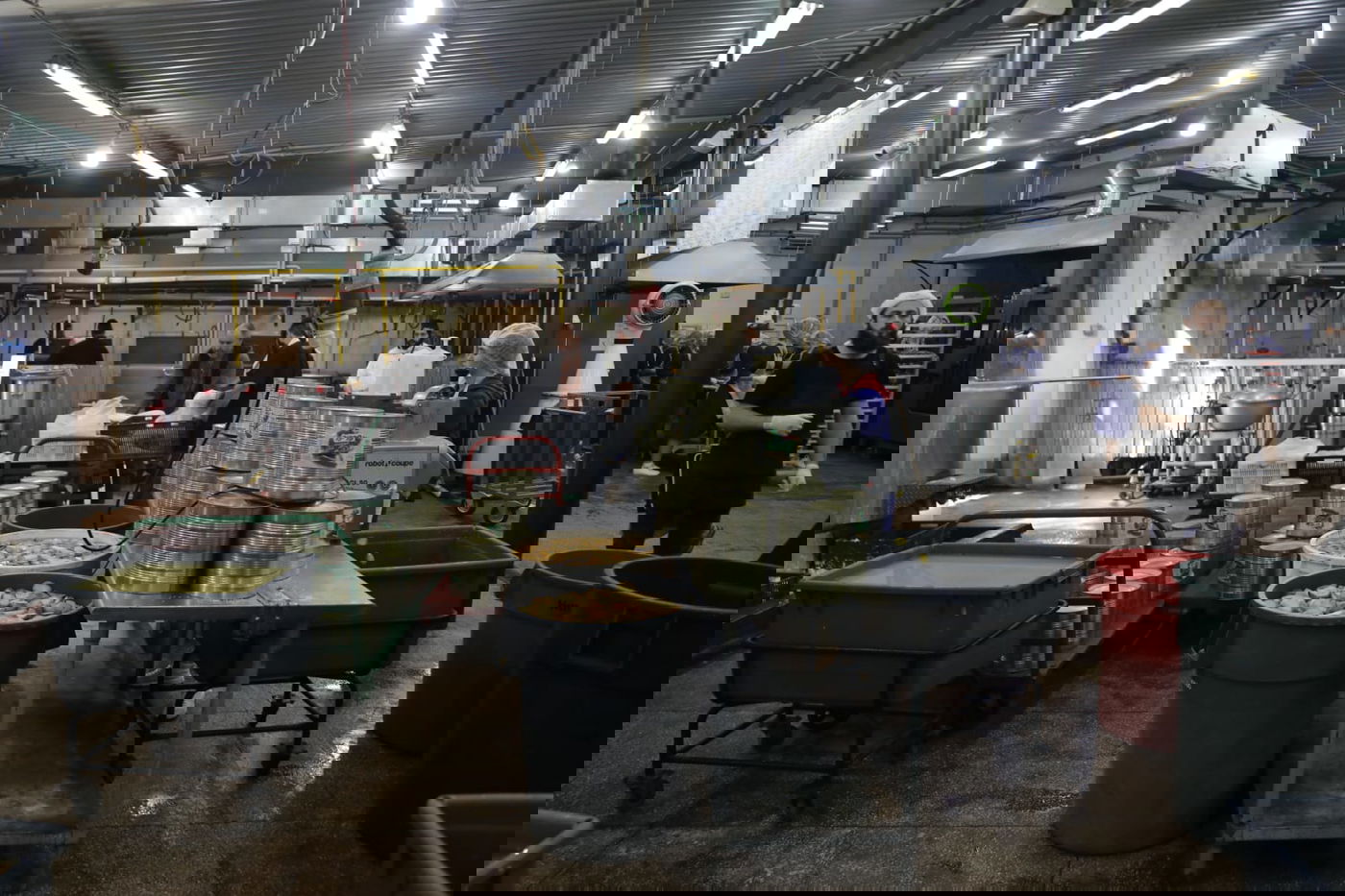 מטורף: המטבח באומן שמכין מאות אלפי מנות