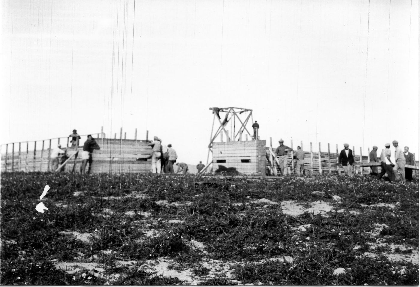 מדהים: כך נראתה ישראל בשנות ה-30 וה-40