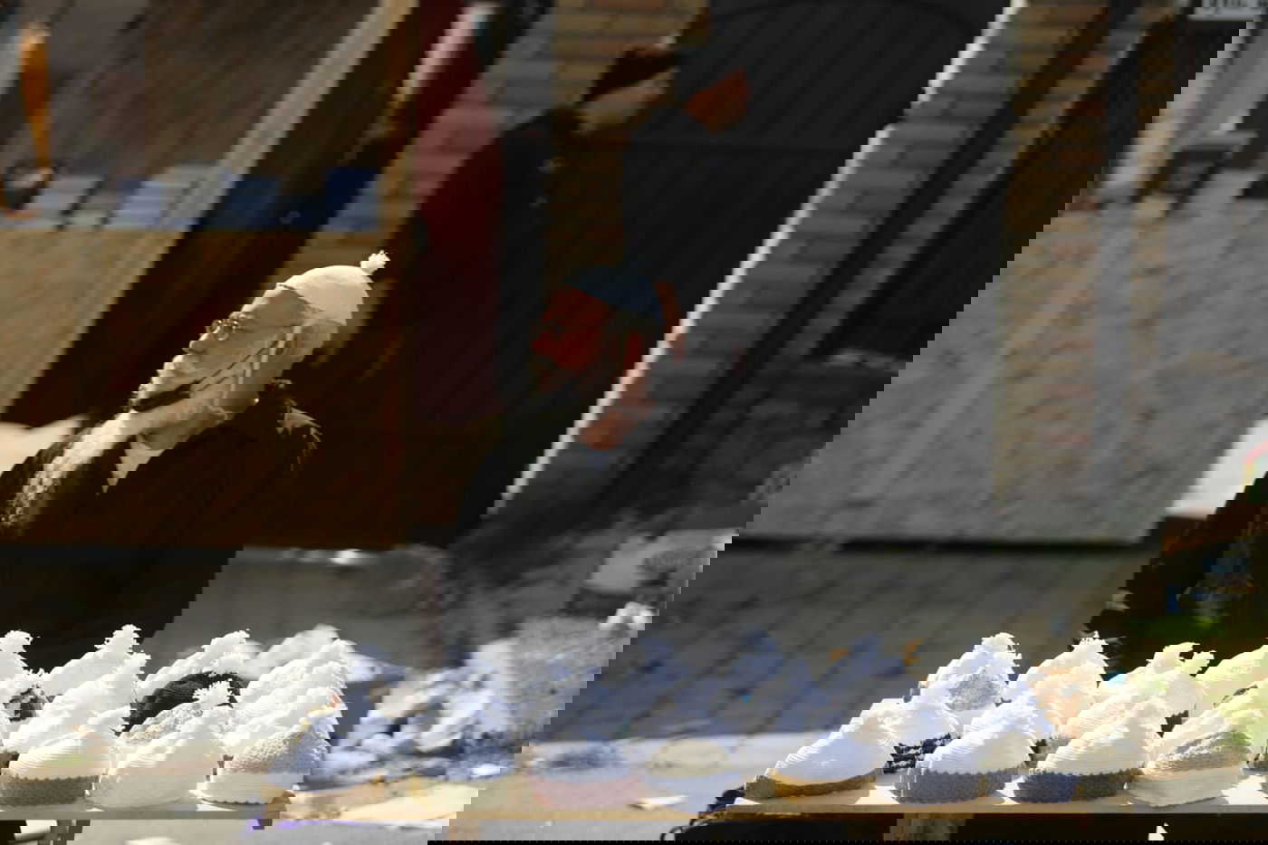 אומן ממעוף הציפור: צפו בגלריה מיוחדת