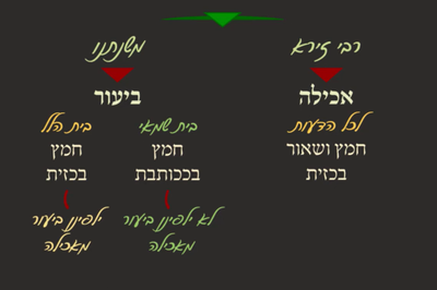 ביצה ז' • סיכום והמחשה של הדף היומי