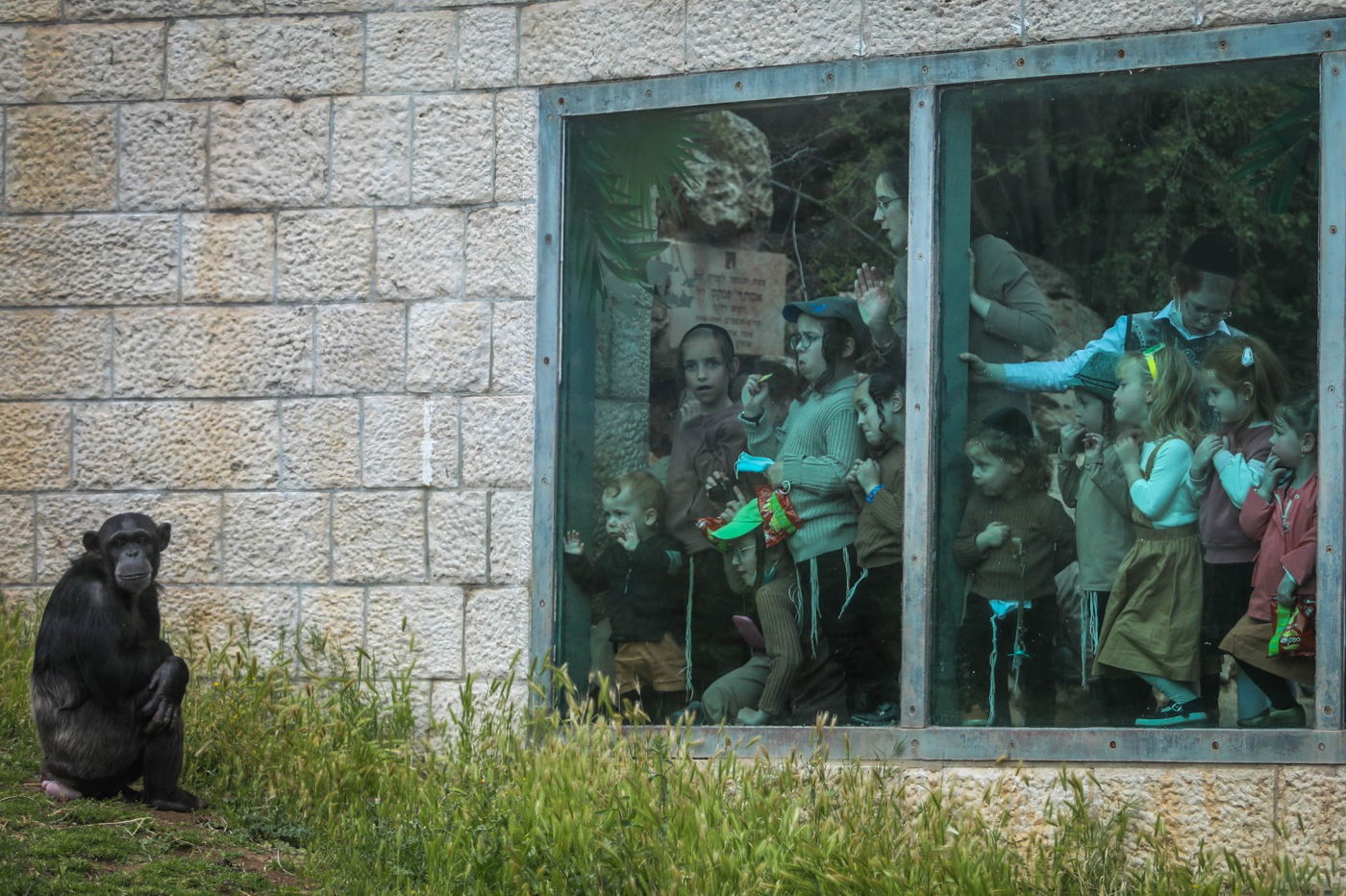 התמונות של השנה; ה'תשפ"א - בעדשה של חיים גולדברג