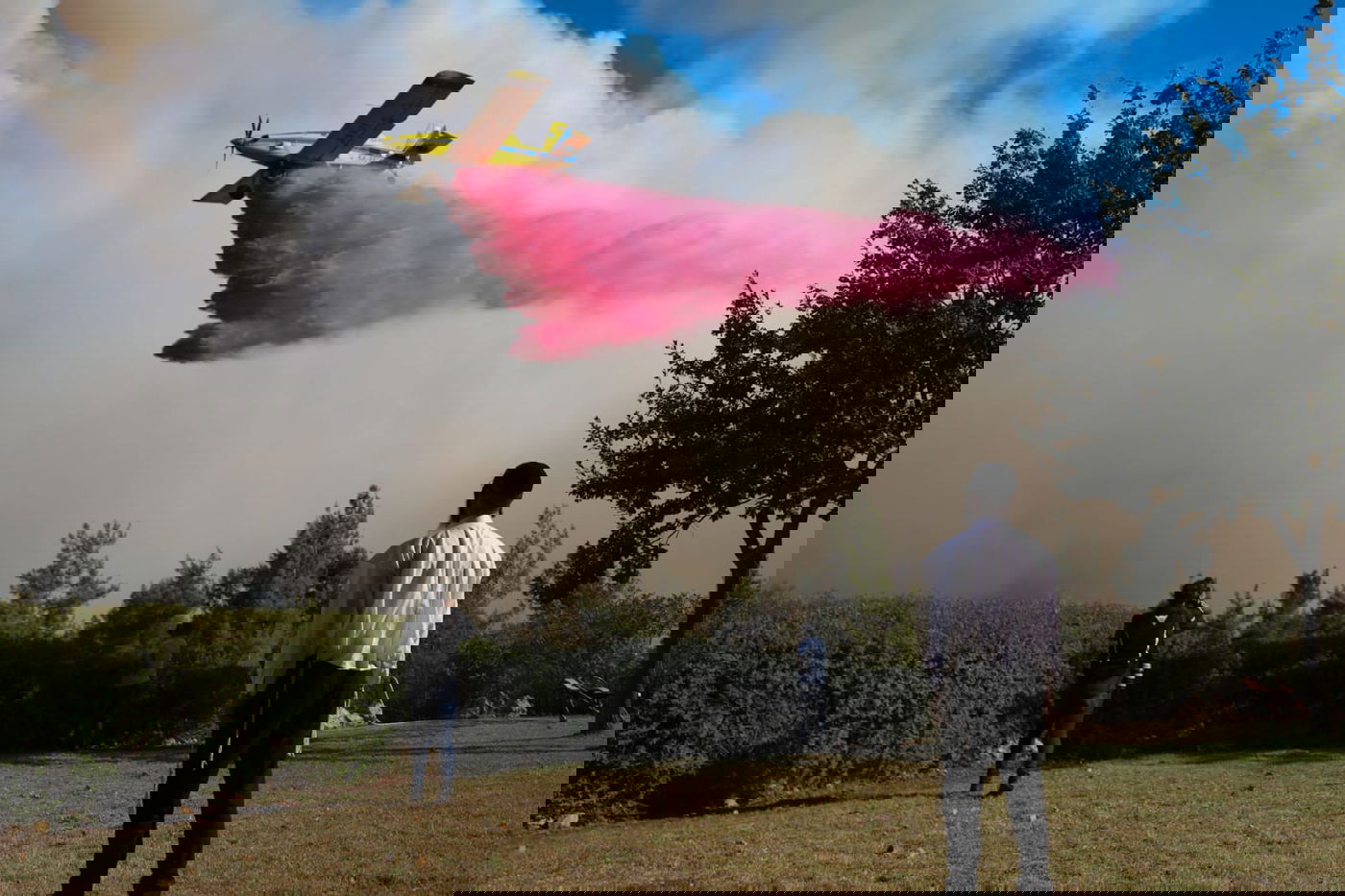 התמונות של השנה; ה'תשפ"א - בעדשה של חיים גולדברג