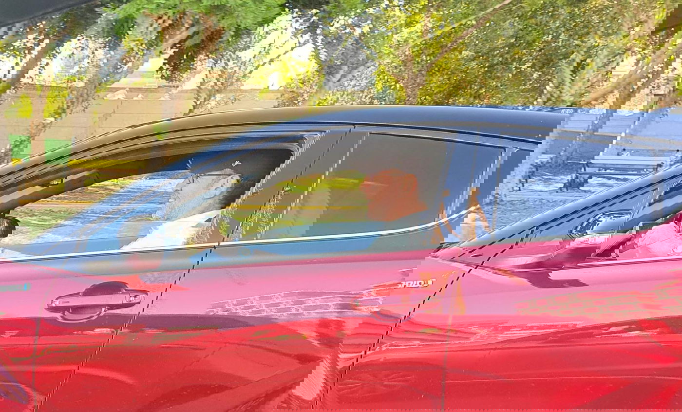 זופניק בכיכר • כל התמונות והנייעס של השבוע