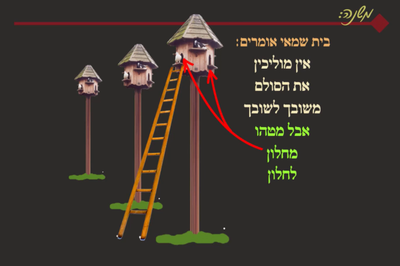 ביצה ט' • סיכום והמחשה של הדף היומי