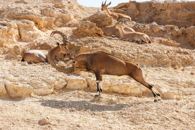 התחזית: תורגש ירידה ניכרת בטמפרטורות