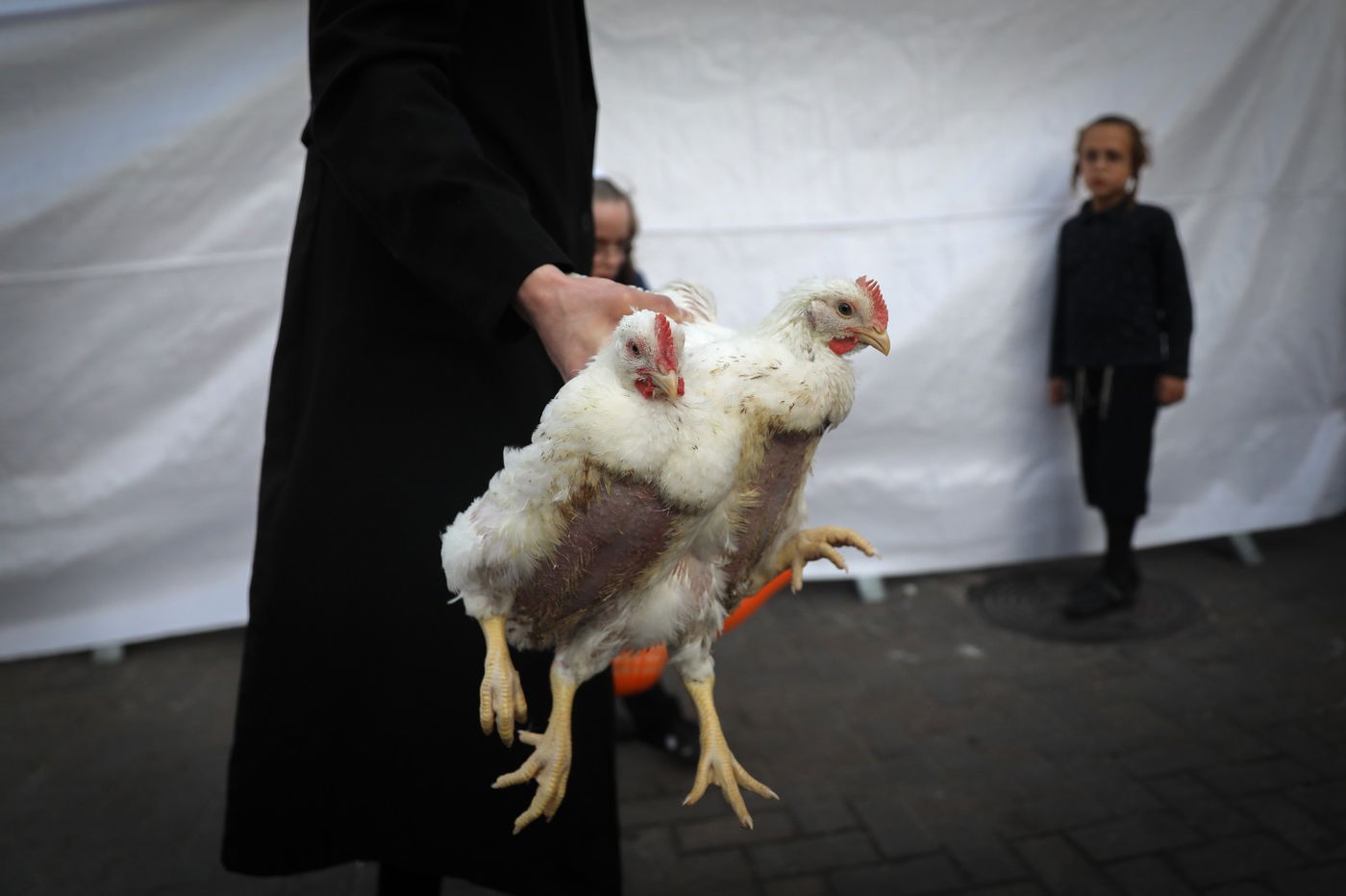תיעוד: מנהג הכפרות בבתי אונגרין בירושלים
