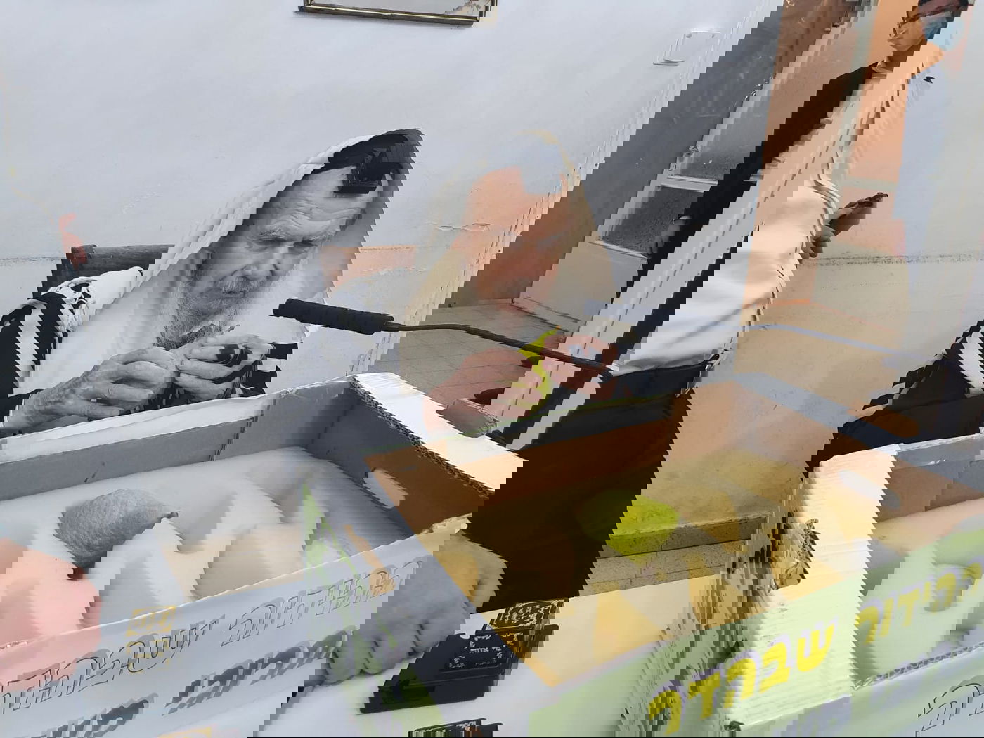 אחרי 'שחרית': גדולי ישראל בחרו אתרוג • צפו