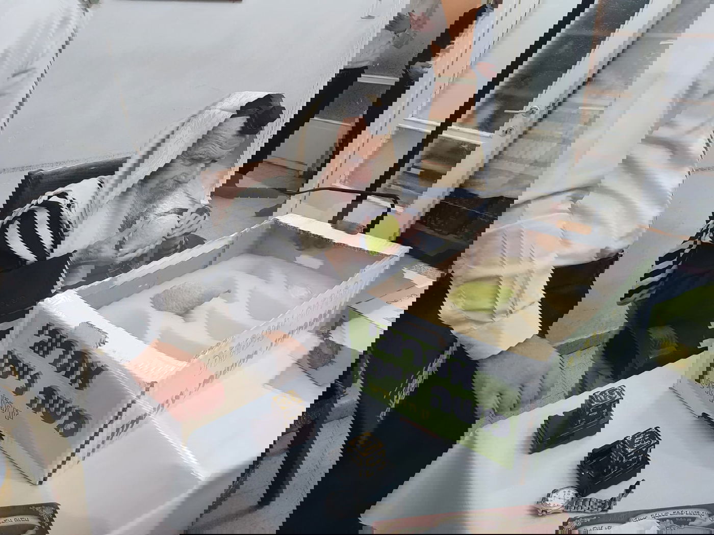 אחרי 'שחרית': גדולי ישראל בחרו אתרוג • צפו