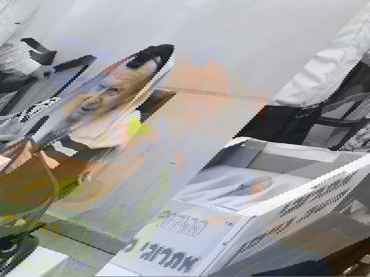 אחרי 'שחרית': גדולי ישראל בחרו אתרוג • צפו