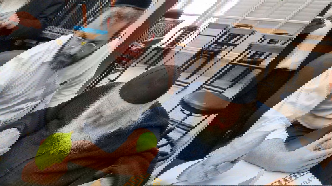 "אשיינע אתרוגים"; האתרוגים המהודרים שראה ר' חיים