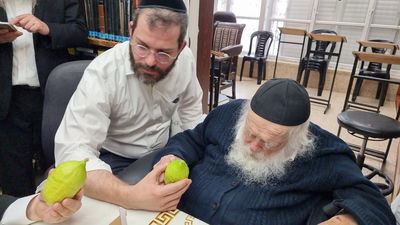 "אשיינע אתרוגים"; האתרוגים המהודרים  שראה ר' חיים