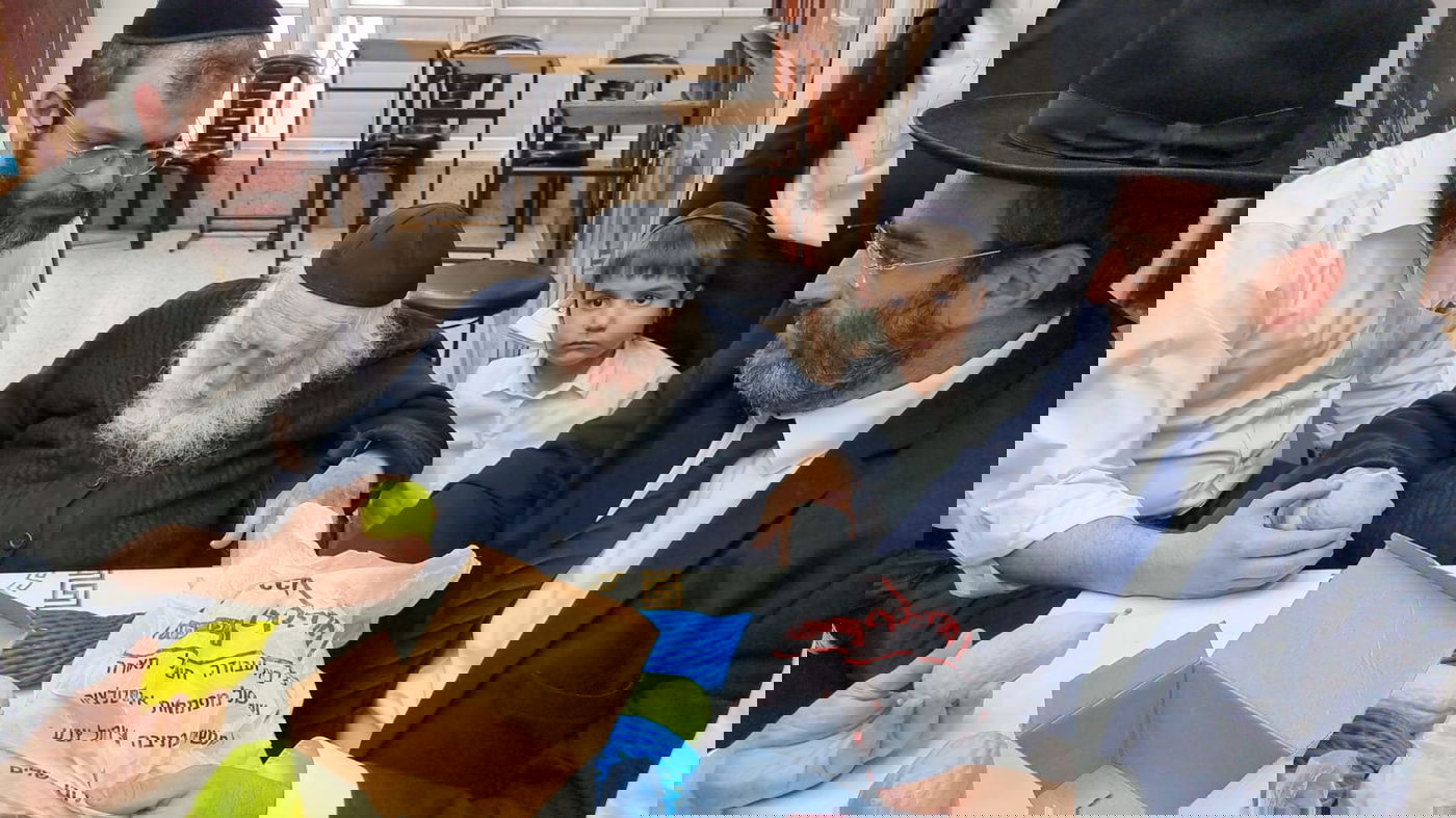 "אשיינע אתרוגים"; האתרוגים המהודרים שראה ר' חיים