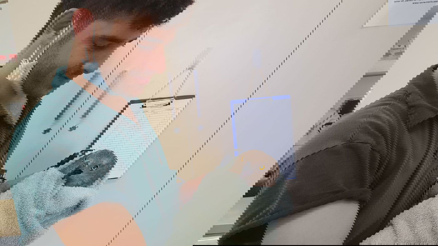 כך עירנות רועה בדואי הצילה איית צרעים