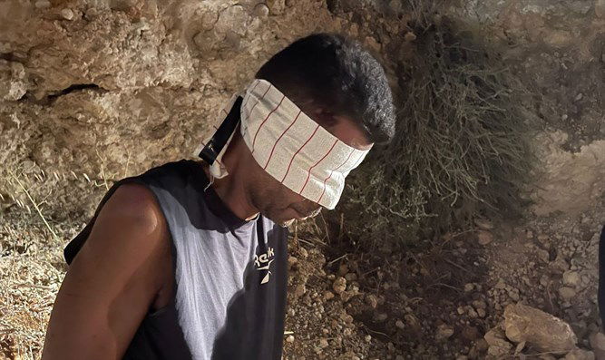 זביידי בלכידתו בסוף השבוע