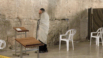 תפילה נדירה במקומות הקדושים בעריו"כ לפתיחת שערים!