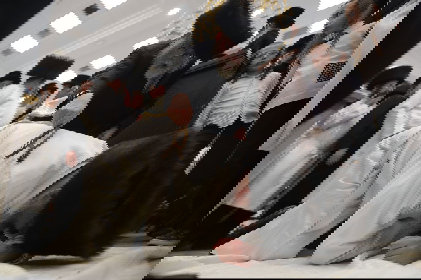 תיעוד מיוחד: מנהג ה'מלקות' בחצר זוועהיל