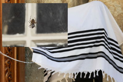 אילוסטרציה