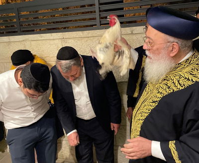 הראשל"צ הגר"ש עמאר במנהג הכפרות וכיסוי הדם. צפו