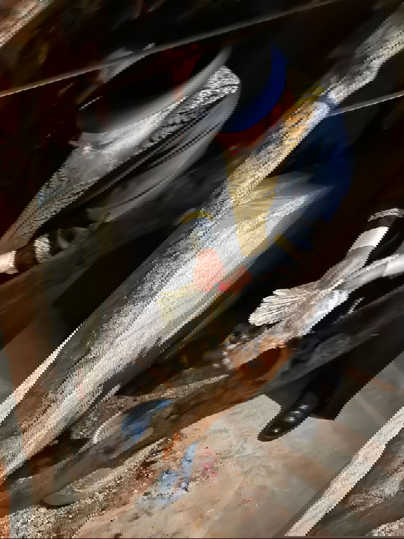 הראשל"צ הגר"ש עמאר במנהג הכפרות וכיסוי הדם. צפו