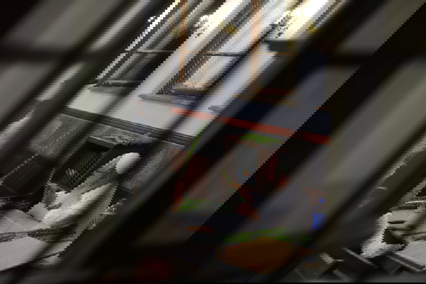 תיעוד מחלון בית הכנסת: שוק ארבעת המינים במאה שערים