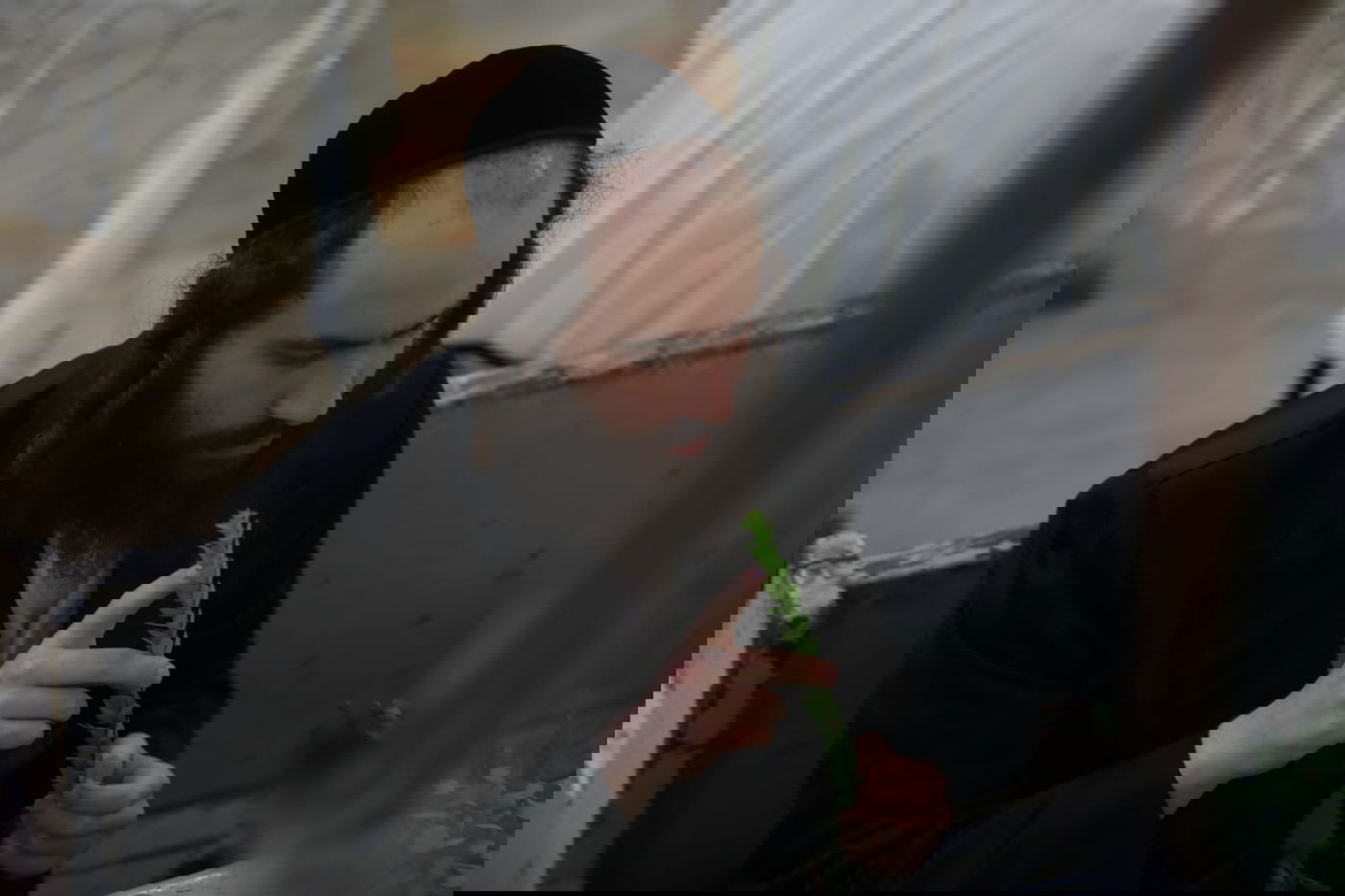 תיעוד מחלון בית הכנסת: שוק ארבעת המינים במאה שערים