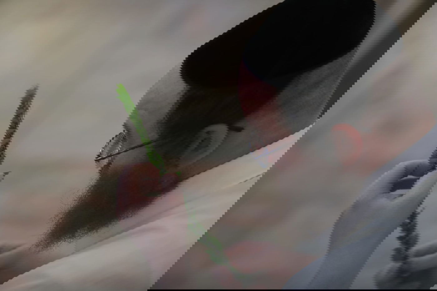 תיעוד מחלון בית הכנסת: שוק ארבעת המינים במאה שערים