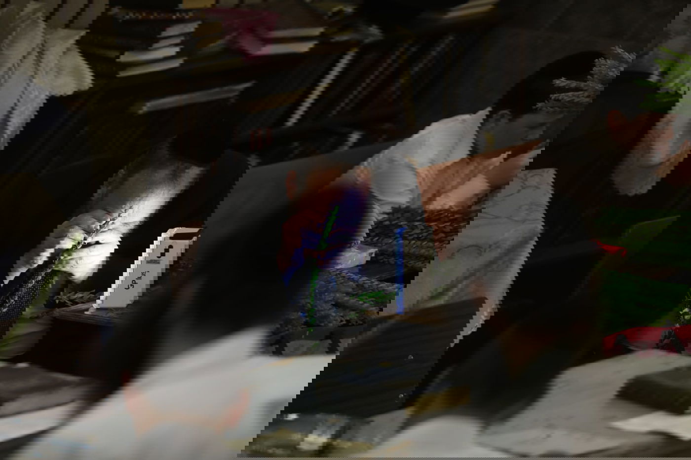 תיעוד מחלון בית הכנסת: שוק ארבעת המינים במאה שערים