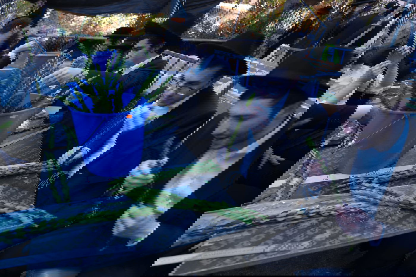 מיוחד: הצצה לשוק ארבעת המינים בזופניק