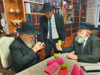 גלויברמן מעניק ד' מינים