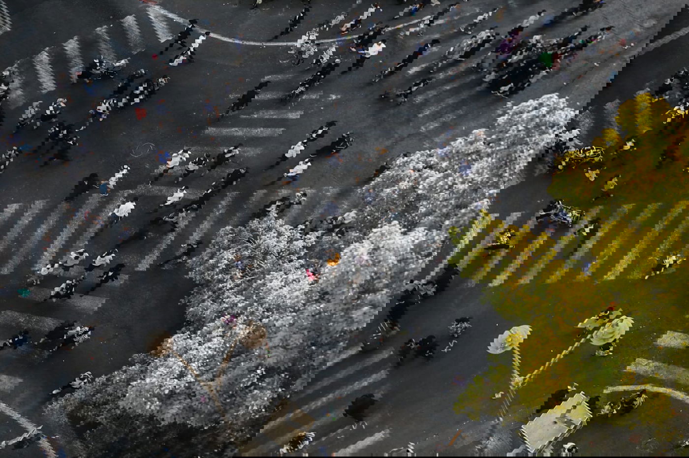 אתרוגים, סוכות ושירים • ערב חג במאה שערים